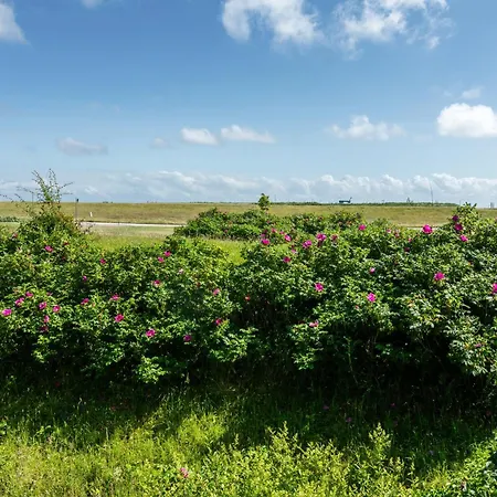Deichperle Mit Bemberg Airspace Sauna 아파트
