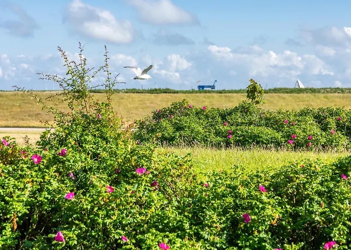 Deichperle Mit Bemberg Airspace Sauna Juist