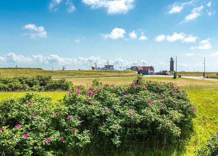 Deichperle Mit Bemberg Airspace Sauna Lejlighed Juist