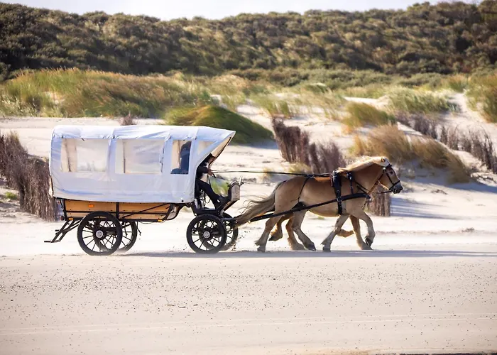 Deichperle Mit Bemberg Airspace Sauna *