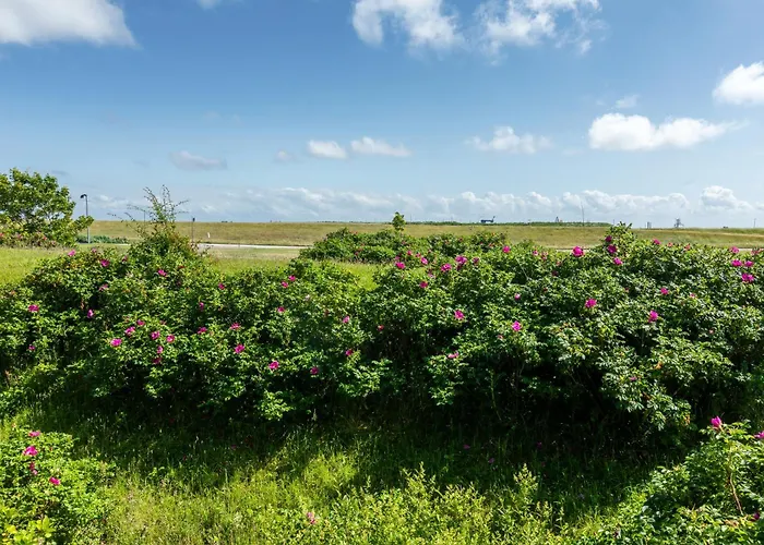 Deichperle Mit Bemberg Airspace Sauna Lejlighed